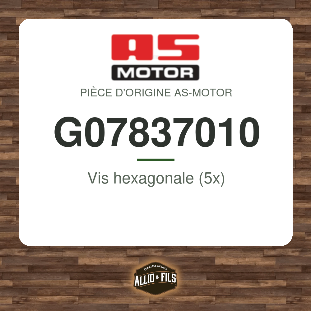 Vis hexagonale (5x) - AS-Motor G07837010
