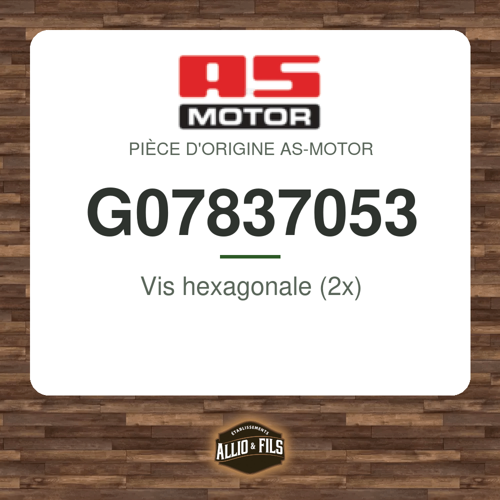 Vis hexagonale (2x) - AS-Motor G07837053