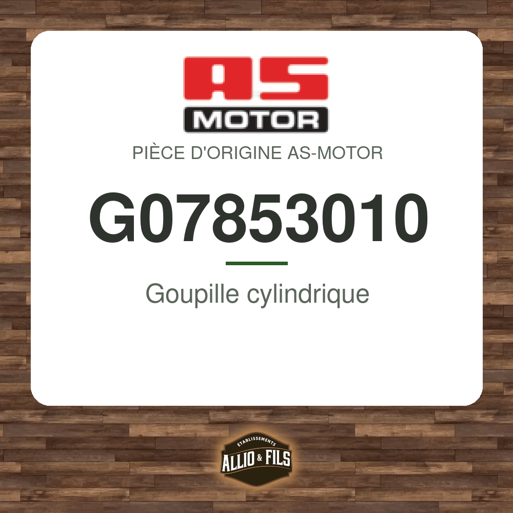 Goupille cylindrique - AS-Motor G07853010