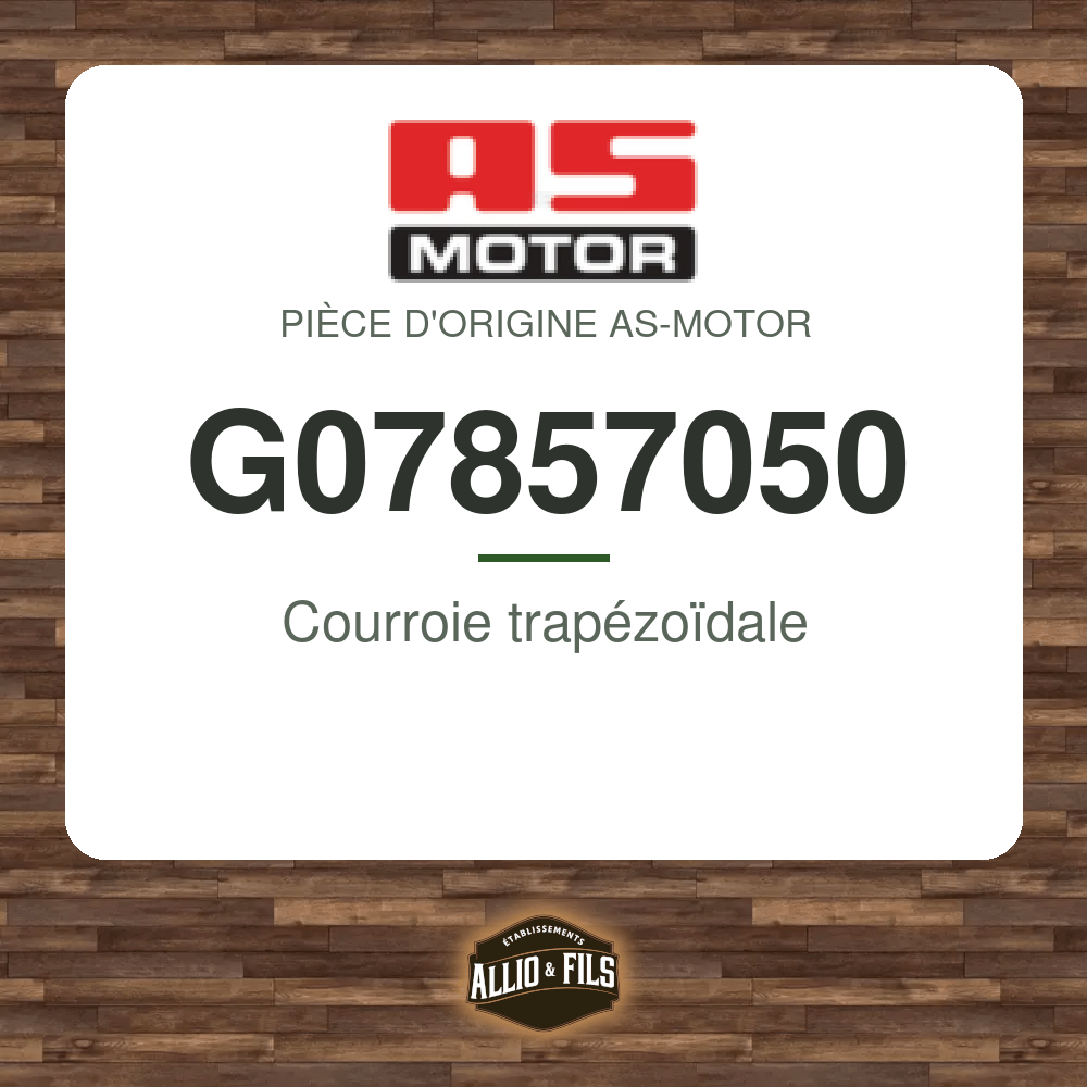Courroie trapézoïdale - AS-Motor G07857050