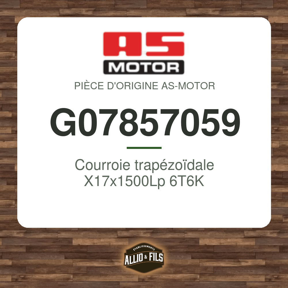 Courroie trapézoïdale X17x1500Lp 6T6K - AS-Motor G07857059