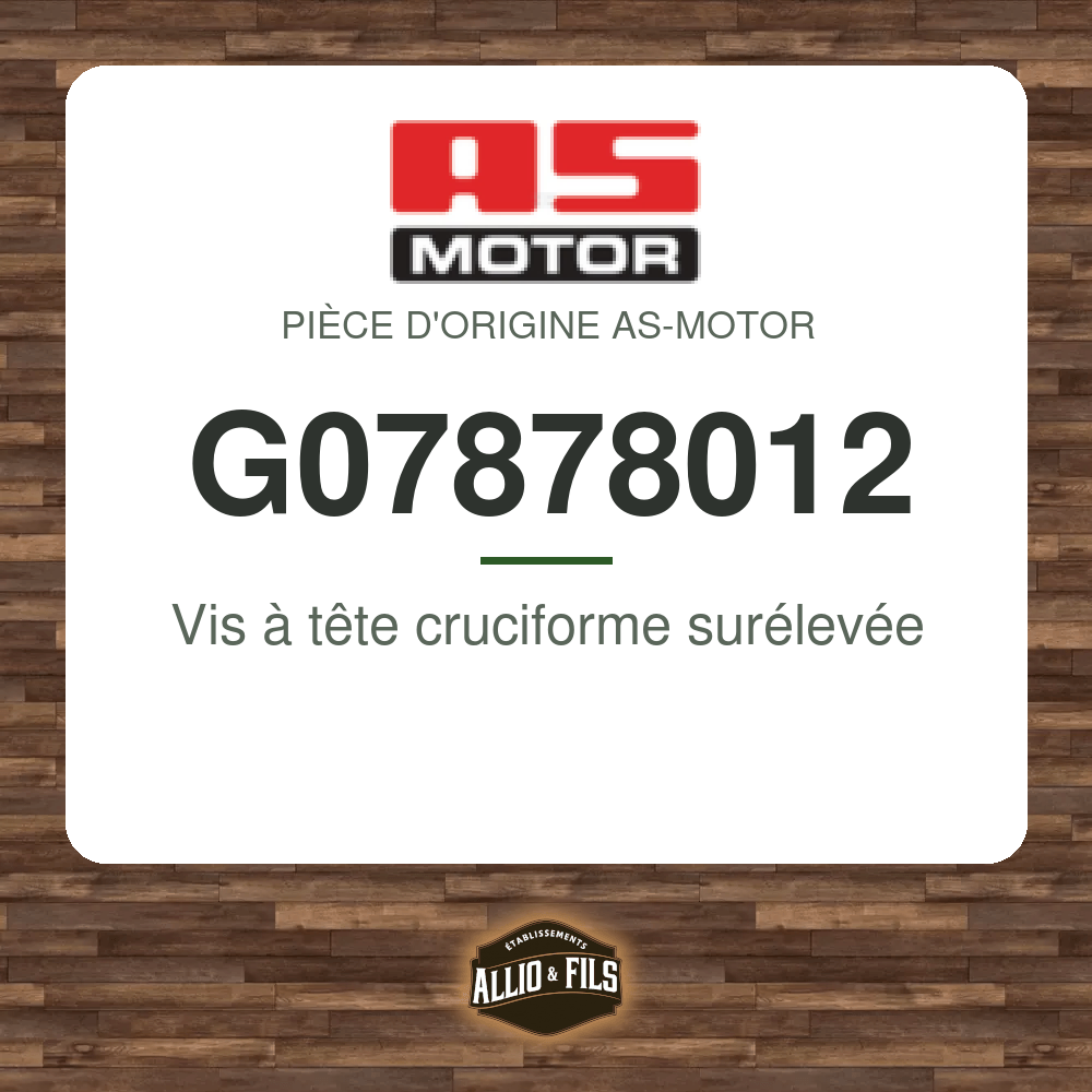Vis à tête cruciforme surélevée - AS-Motor G07878012