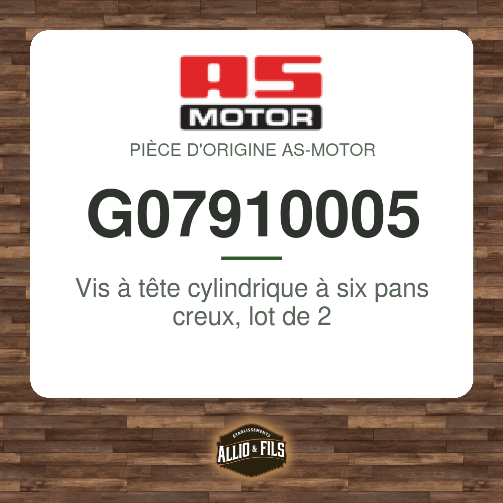 Vis à tête cylindrique à six pans creux, lot de 2 - AS-Motor G07910005