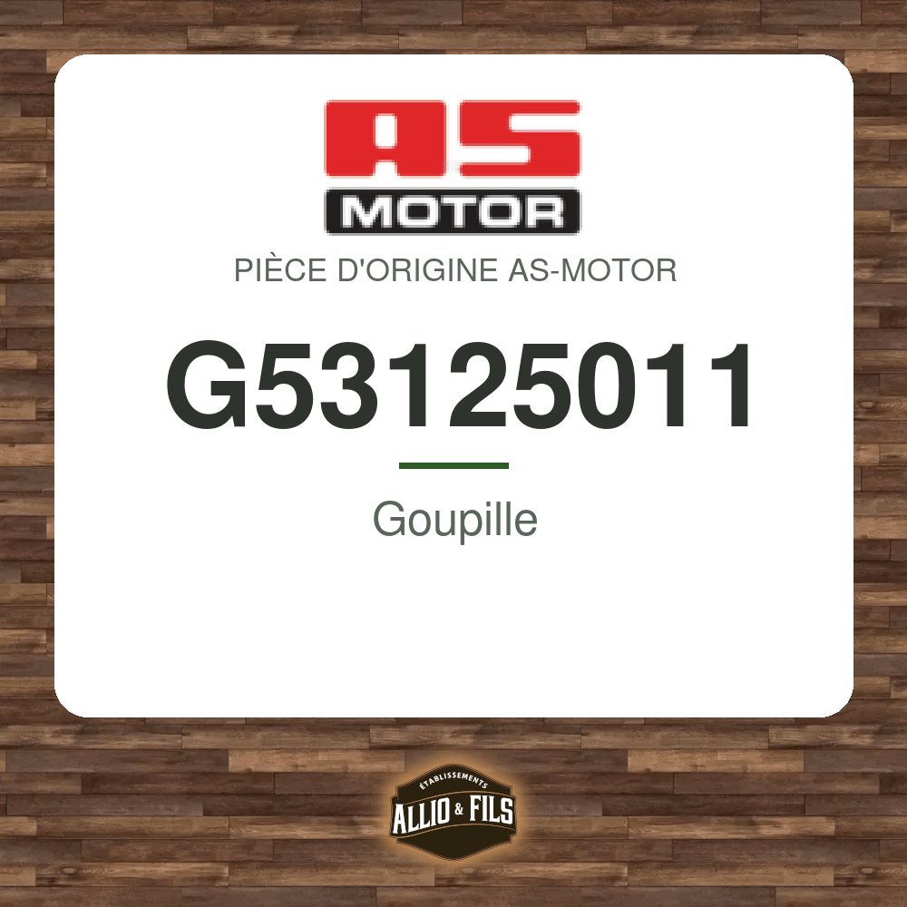 Goupille - AS-Motor G53125011