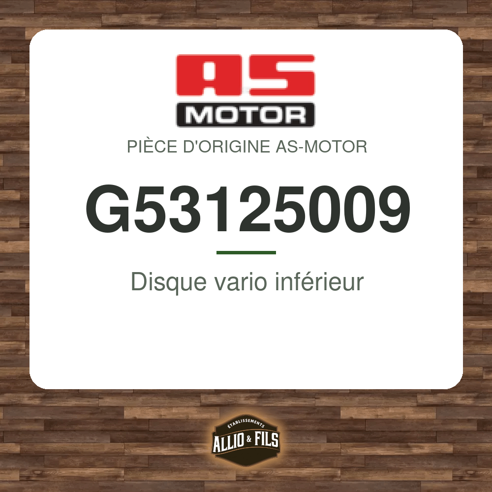 Disque vario inférieur - AS-Motor G53125009