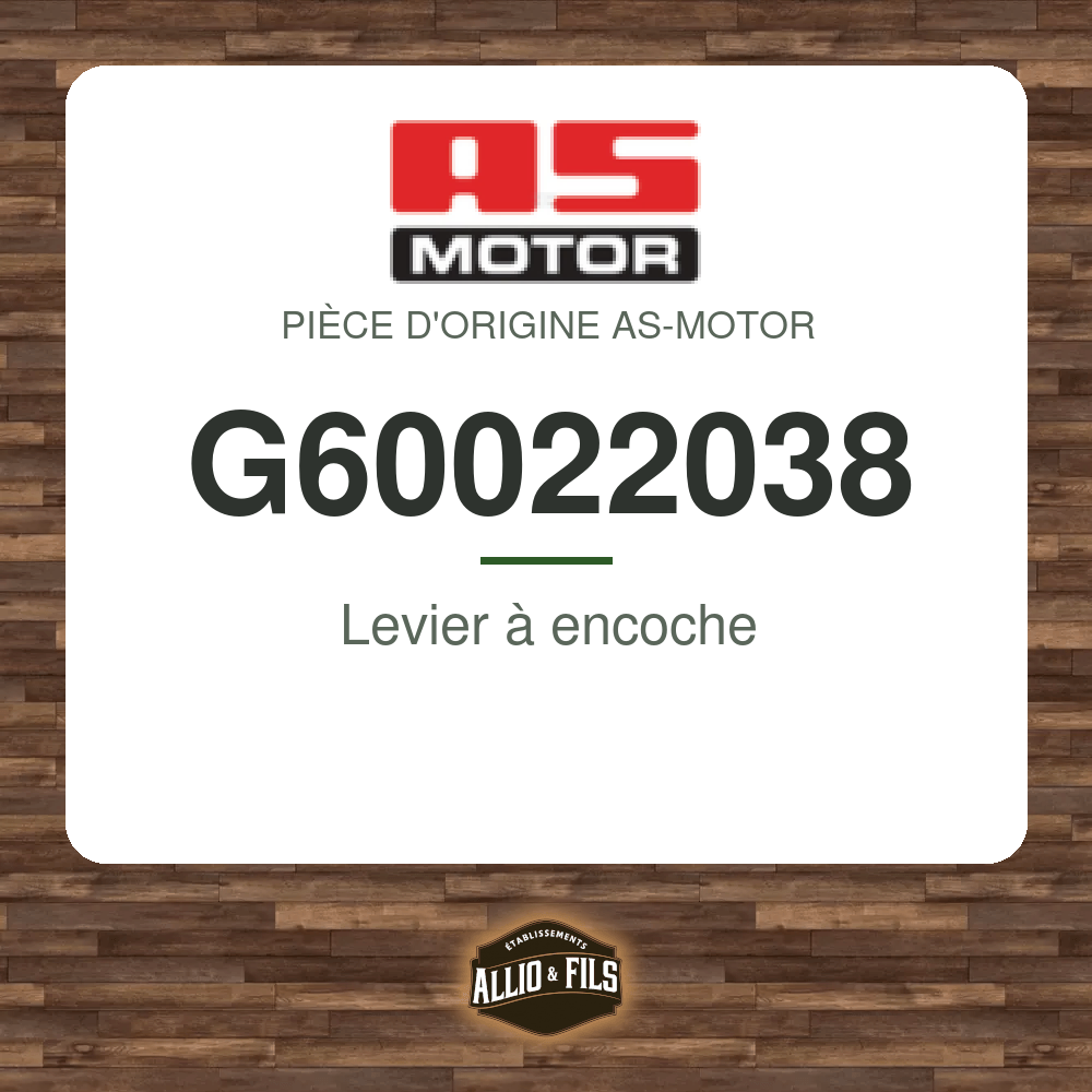 Levier à encoche - AS-Motor G60022038