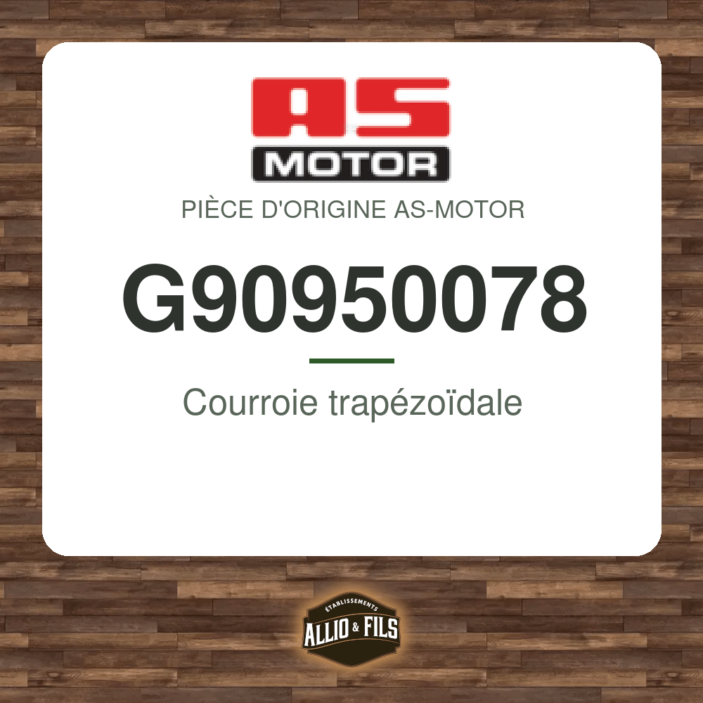 Courroie trapézoïdale - AS-Motor G90950078