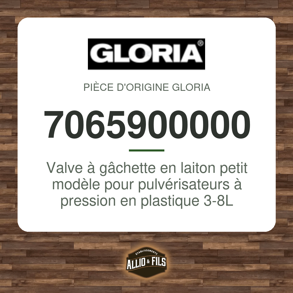 ?f=GL7065900000-171308