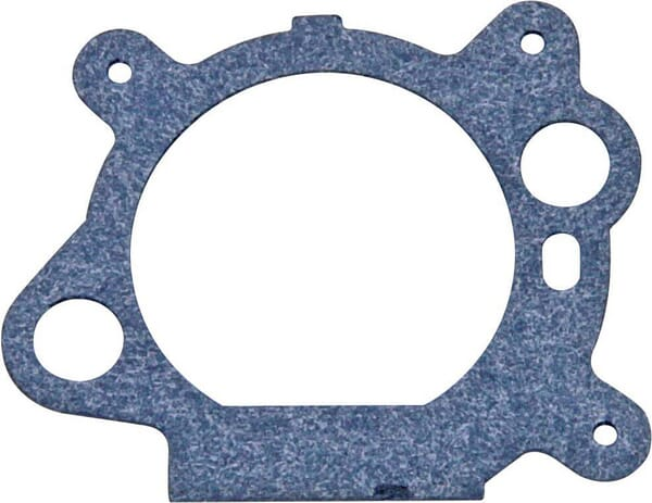 Joint de filtre - Briggs & Stratton 795629