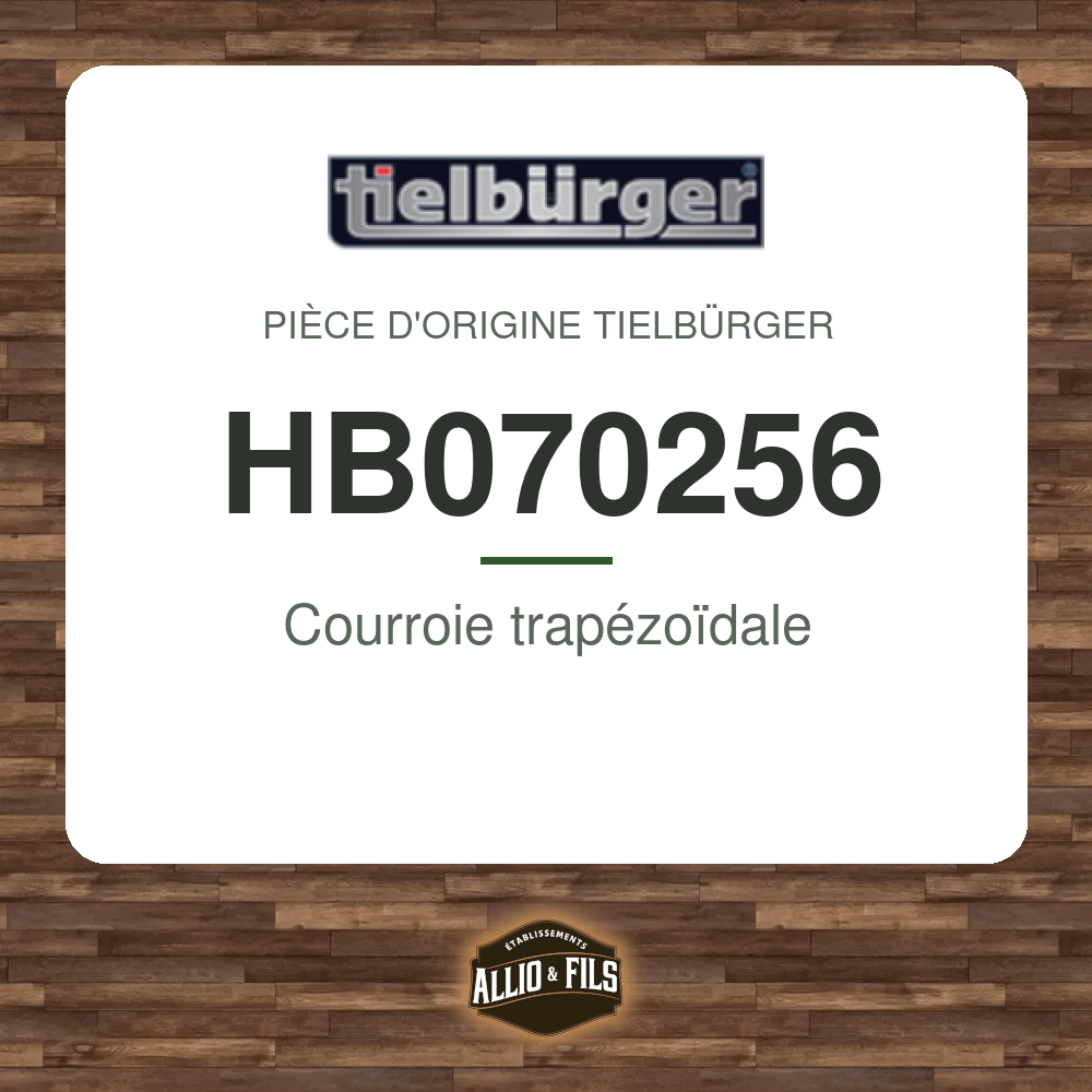 ?f=TIHB070256-172411