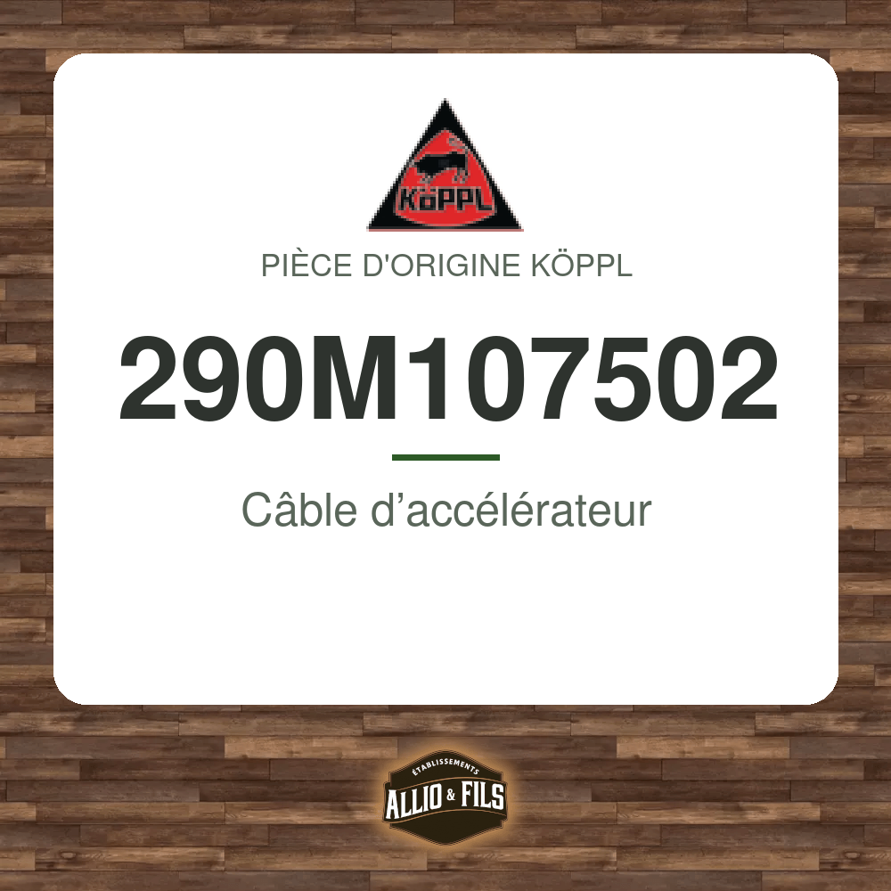 ?f=KP290M107502-172559