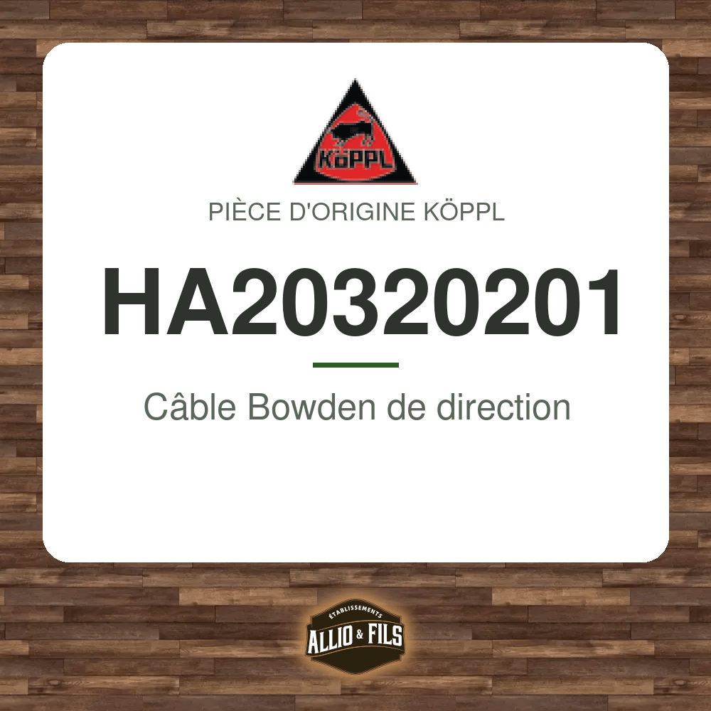 ?f=KPHA20320201-172647