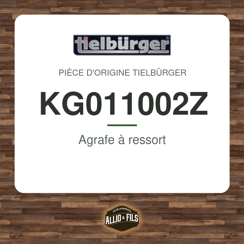 ?f=TIKG011002Z-172960