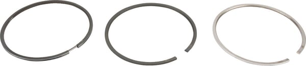 Jeu de segments +0,50 FOCS - Lombardini 8211225