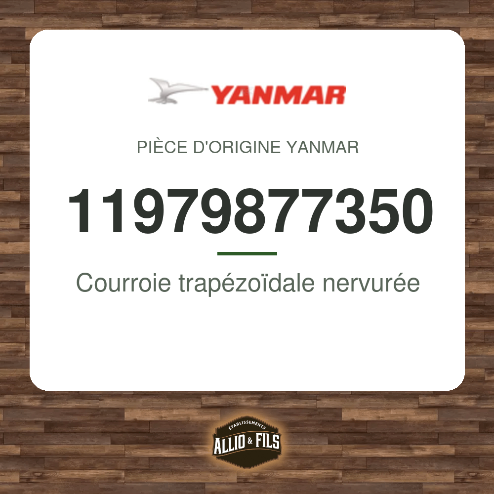 ?f=YA11979877350-48031857