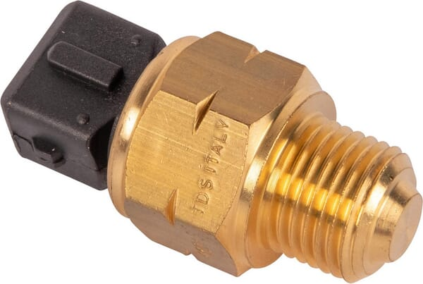 Thermostat - Lombardini ED0091951080S
