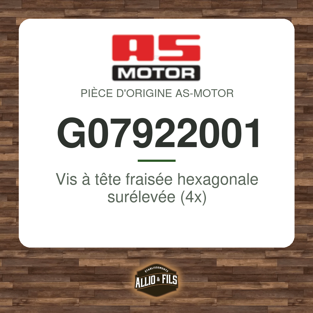 Vis à tête fraisée hexagonale surélevée (4x) - AS-Motor G07922001