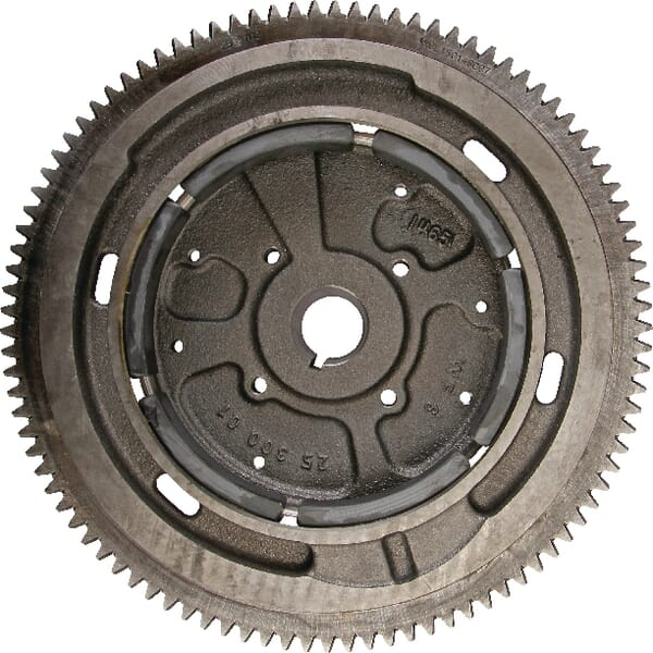 Ensemble volant moteur (LW, 22) - Kohler 24025121S