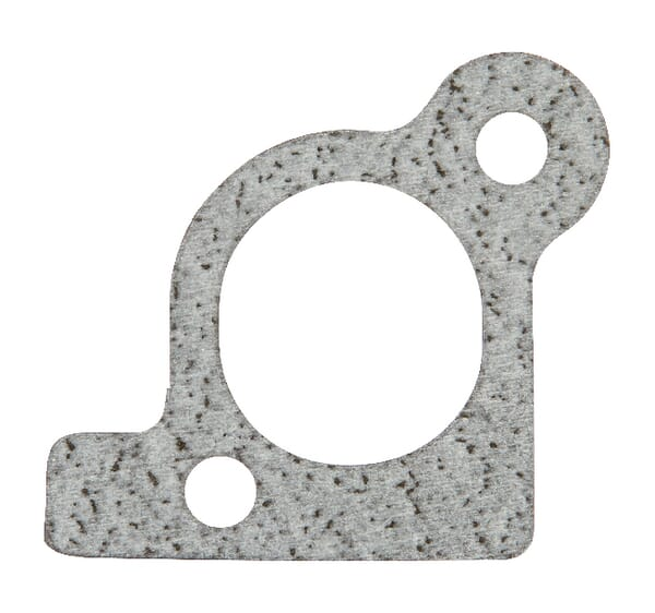Joint de collecteur d'admission - Briggs & Stratton 806418