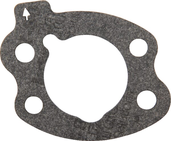 Joint de filtre à air Briggs & Stratton - Briggs & Stratton 844931