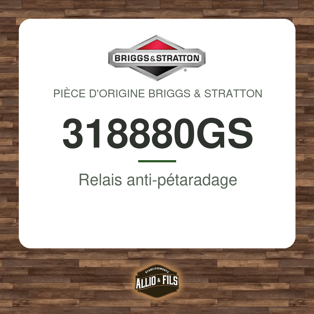 ?f=BR318880GS-2