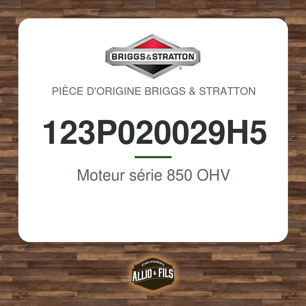 ?f=BR123P020029H5-2