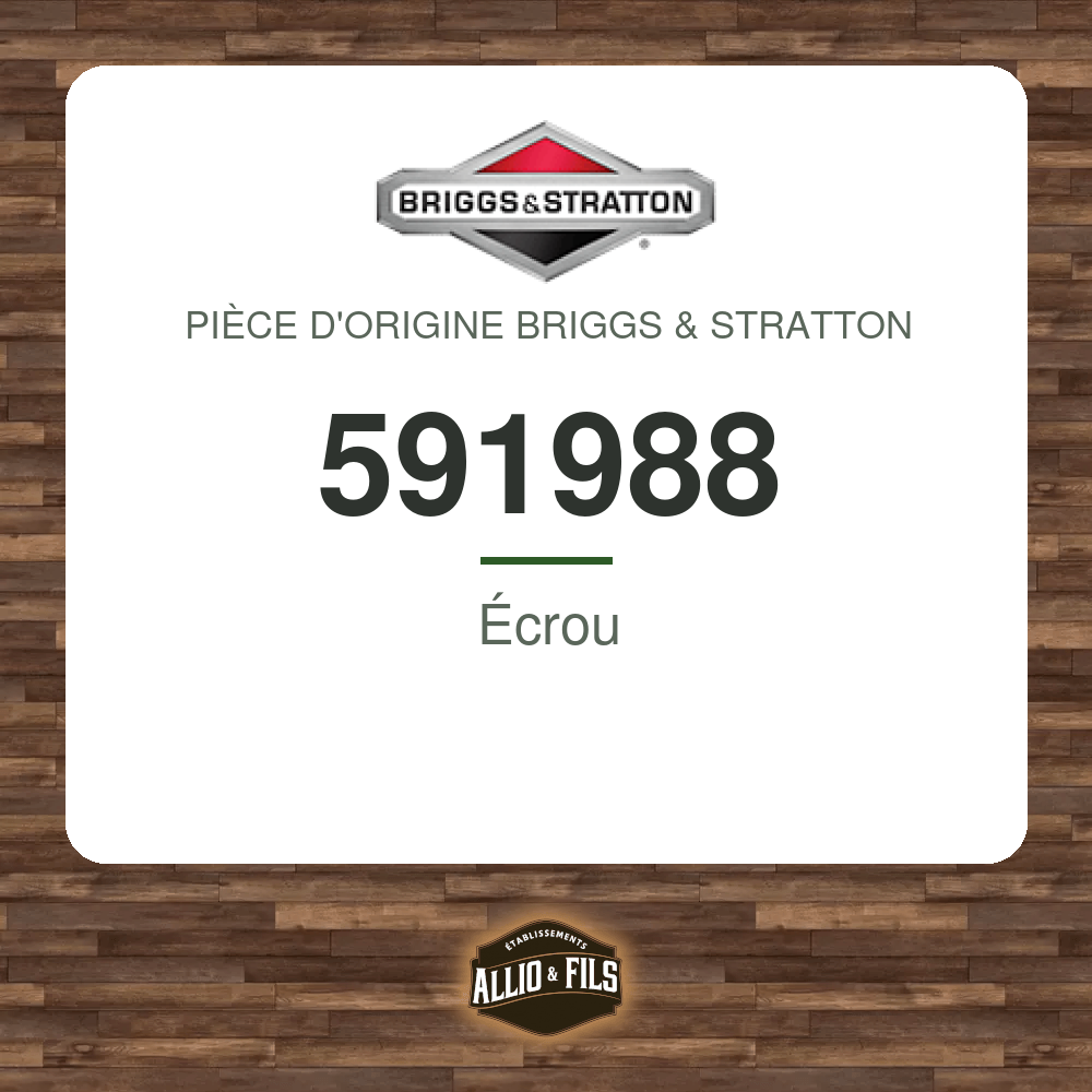 Écrou - Briggs & Stratton 591988