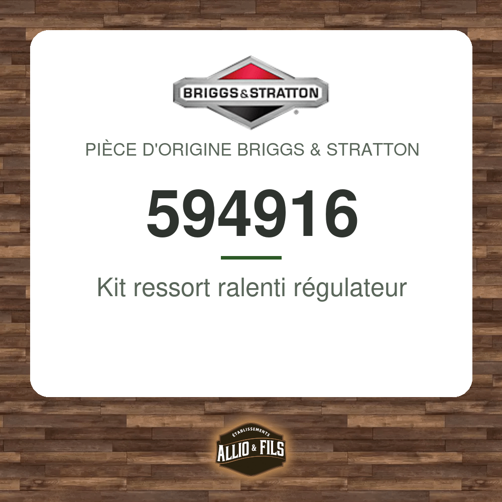 Kit ressort ralenti régulateur - Briggs & Stratton 594916