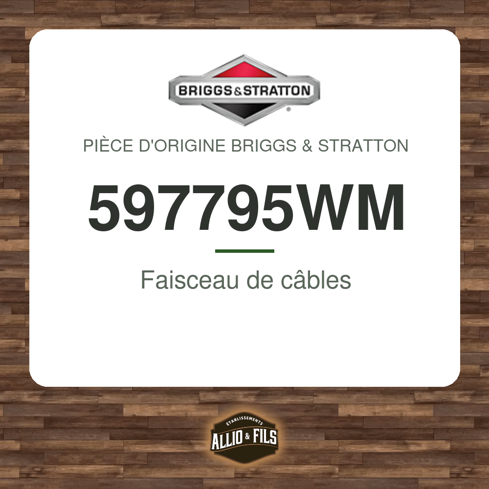 ?f=BR597795WM-2