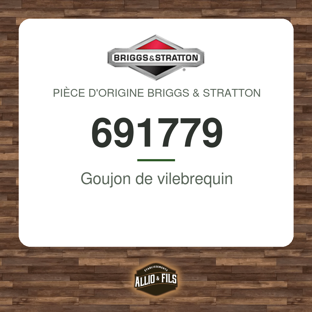 Goujon de vilebrequin - Briggs & Stratton 691779