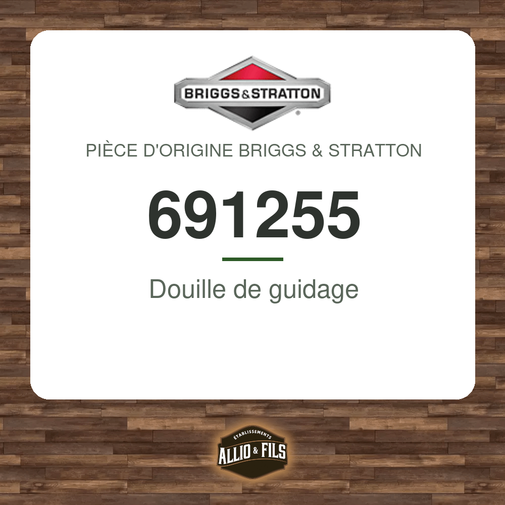 Douille de guidage - Briggs & Stratton 691255