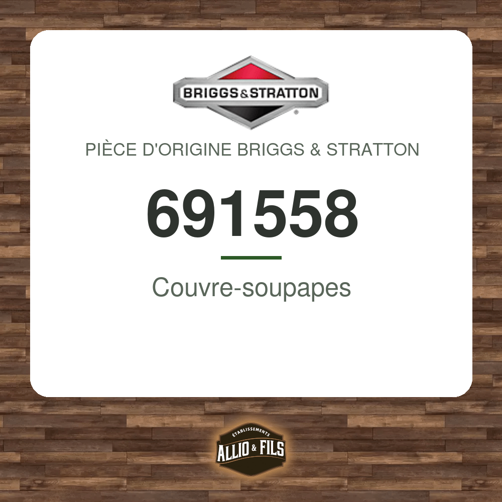 Couvre-soupapes - Briggs & Stratton 691558