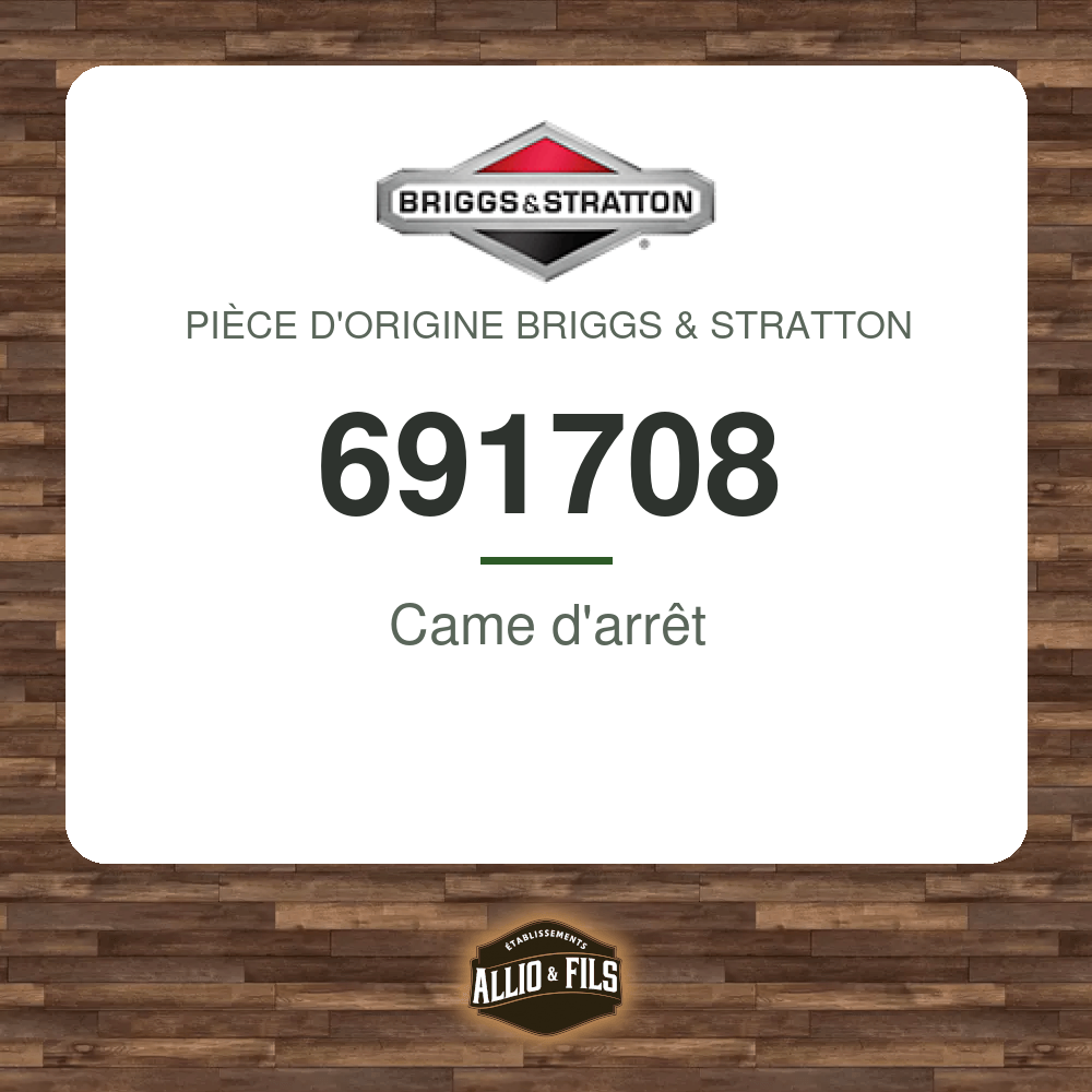 Came d'arrêt - Briggs & Stratton 691708