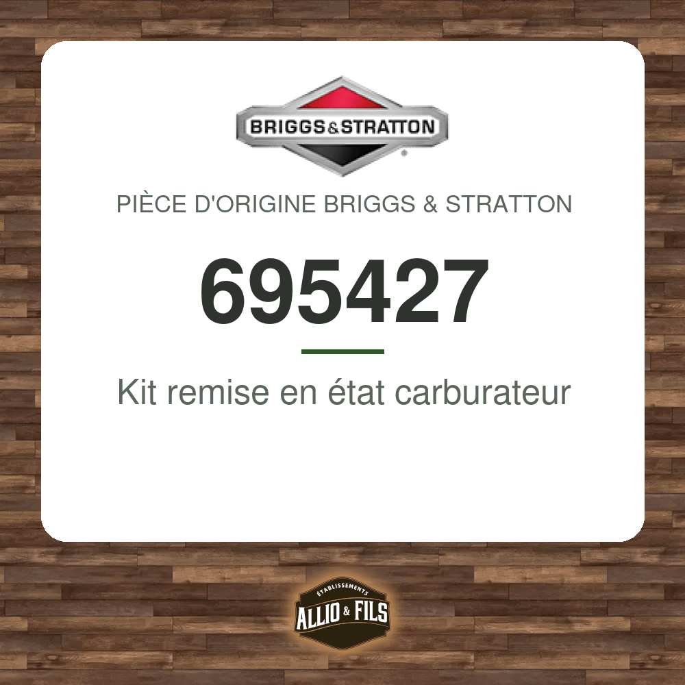 Kit remise en état carburateur - Briggs & Stratton 695427