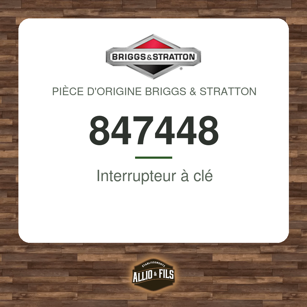 Interrupteur à clé - Briggs & Stratton 847448
