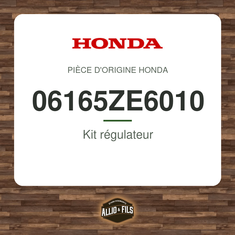 ?f=HO06165ZE6010-2