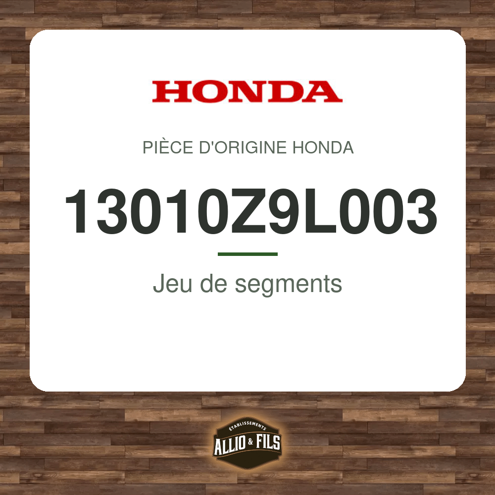 ?f=HO13010Z9L003-2