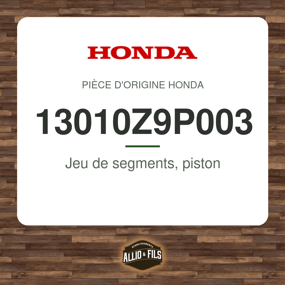 ?f=HO13010Z9P003-2