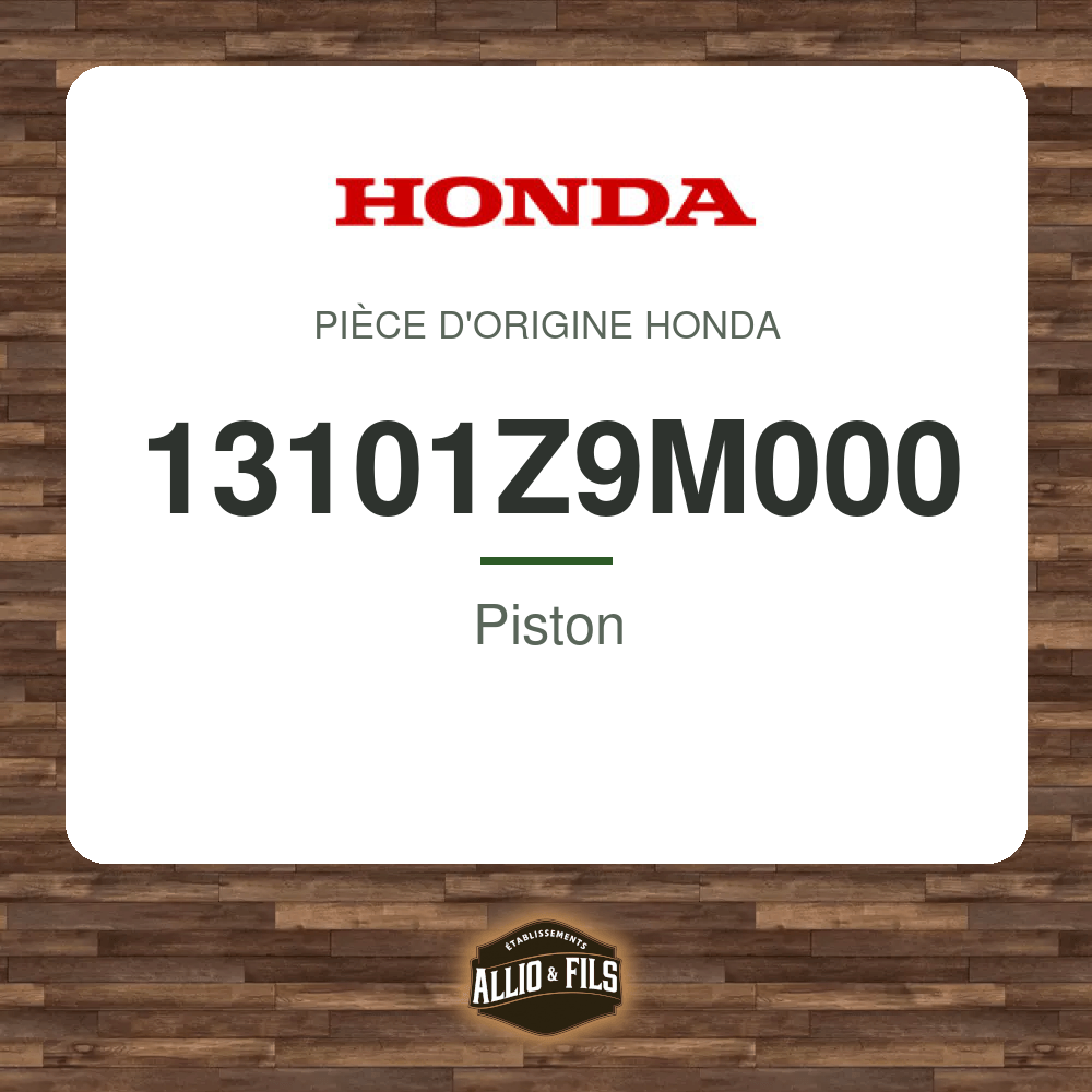 ?f=HO13101Z9M000-2