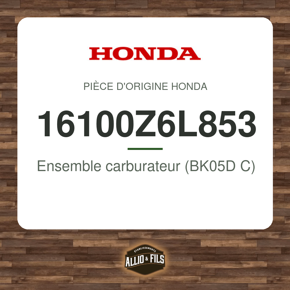 ?f=HO16100Z6L853-2