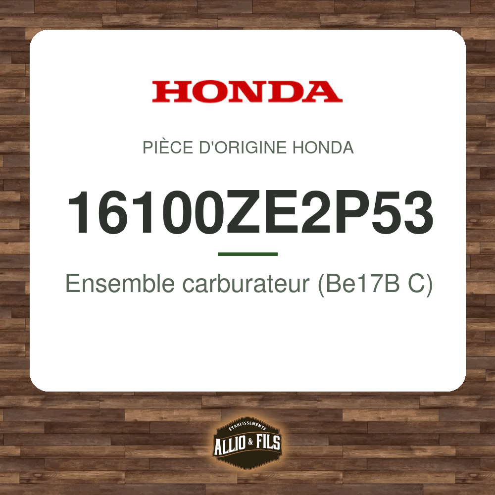 ?f=HO16100ZE2P53-2