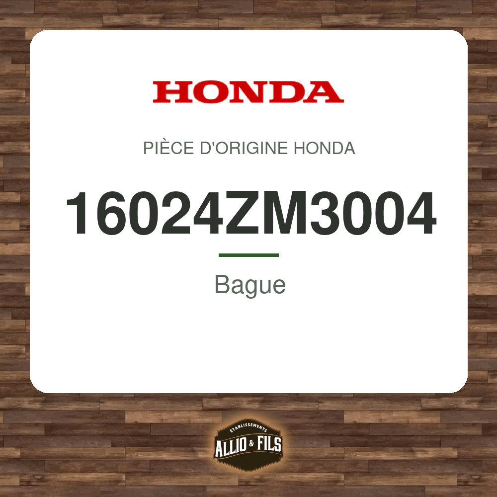 ?f=HO16024ZM3004-2