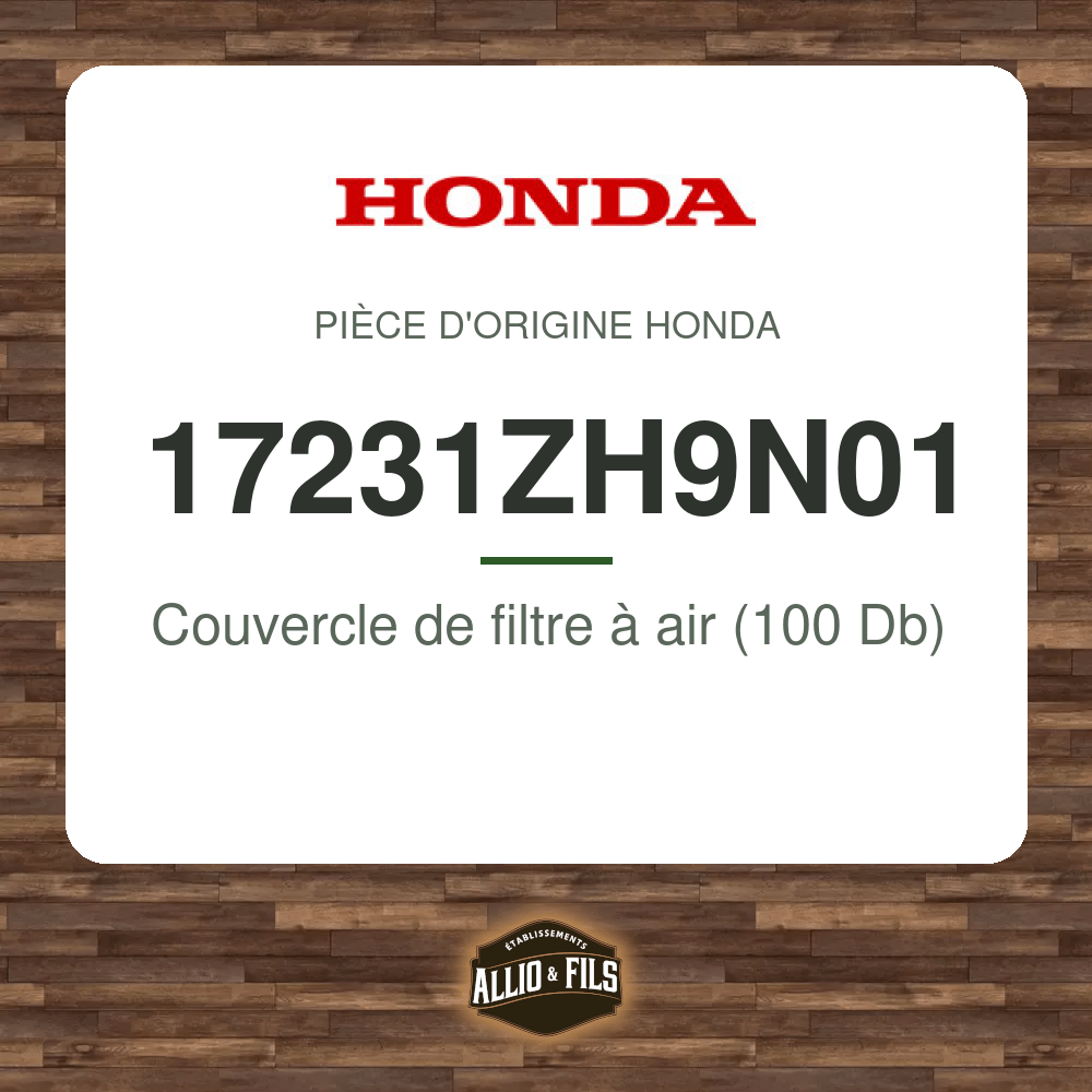 ?f=HO17231ZH9N01-2