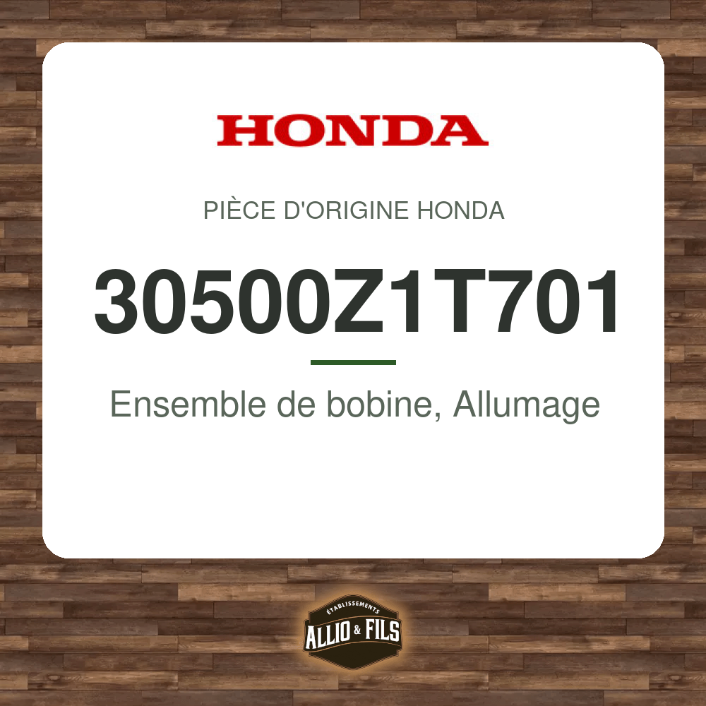 ?f=HO30500Z1T701-2