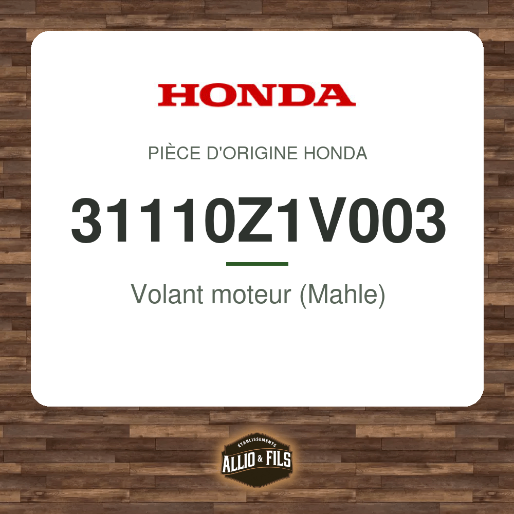 ?f=HO31110Z1V003-2