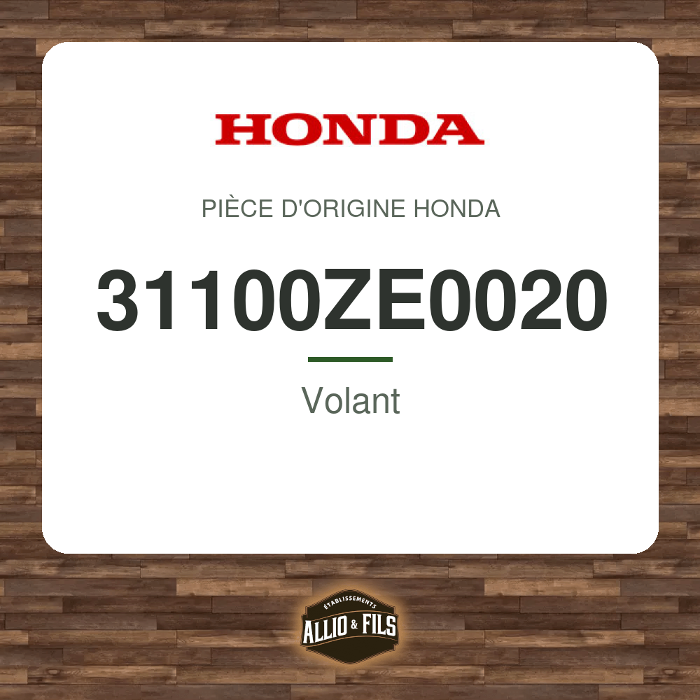 ?f=HO31100ZE0020-2