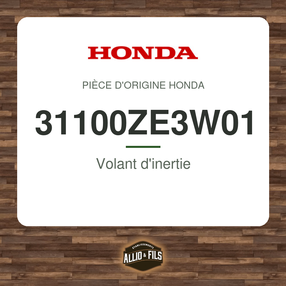 ?f=HO31100ZE3W01-2