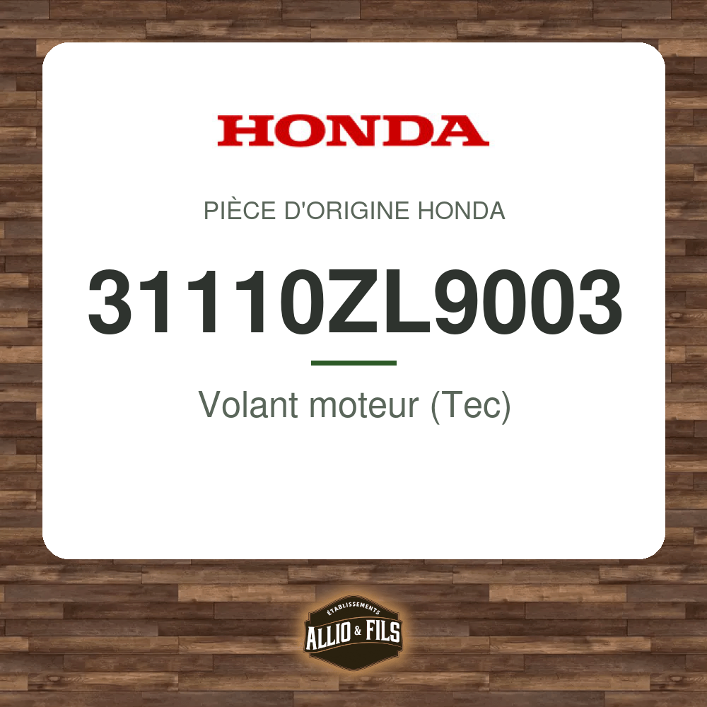 ?f=HO31110ZL9003-2
