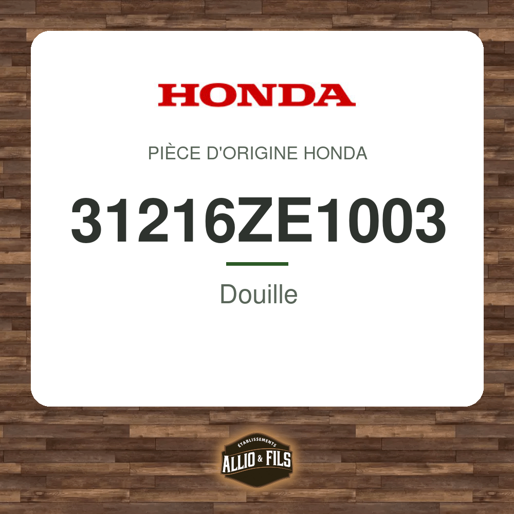 ?f=HO31216ZE1003-2