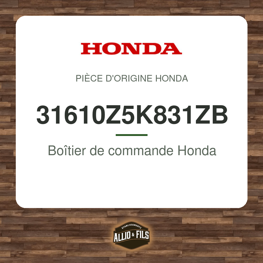 ?f=HO31610Z5K831ZB-2